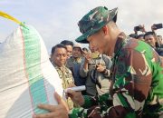 Panen Raya di Kanyuara Sidrap, 1.229 Hektare Sawah Hasilkan Rp88 Miliar