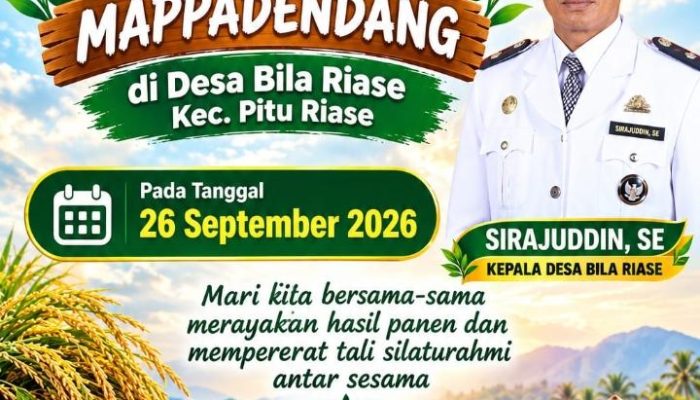 Masyarakat Desa Bila Riase Gelar Pesta Panen Mappadendang