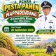 Masyarakat Desa Bila Riase Gelar Pesta Panen Mappadendang