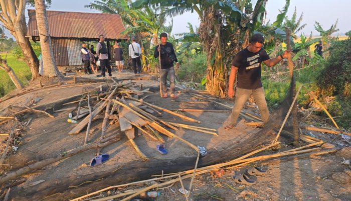 Gerebek Arena Sabung Ayam di Sipodeceng, Polisi Amankan Tiga Orang dan Puluhan Motor
