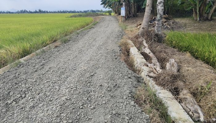 Inspektorat Sidrap Turun Tangan, Bangunan Talud dan Penimbunan Jalan Tani Taccimpo Diperiksa