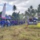 Sekali Panen Rp50 Miliar, Abbokongang Buktikan Pertanian Sidrap Tetap Produktif di Tengah Kemarau