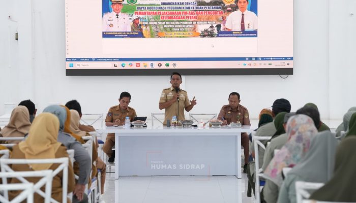 Dari Pompanisasi hingga Pola Tanam, Cara Sidrap Jaga Produktivitas Pertanian