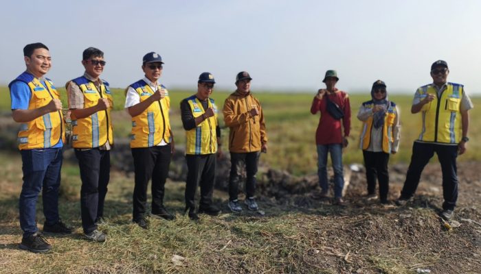 Tinjau Lahan Kekeringan di Sidrap, BBWS Pompengan Jeneberang Lihat Inovasi Pengairan Sawah